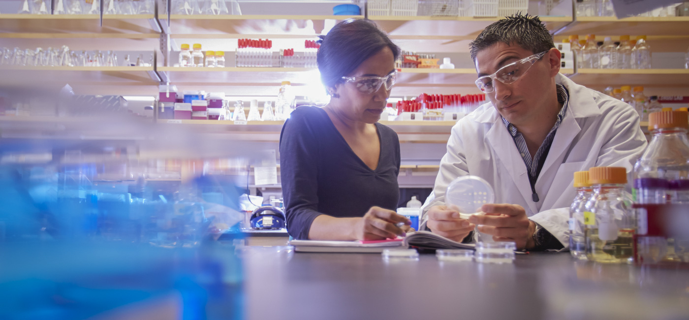 MS student in biology and biotechnology lab