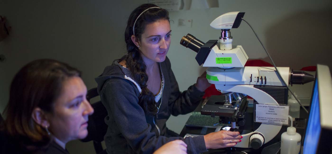 Bioinformatics