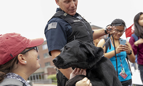 Bella the police dog