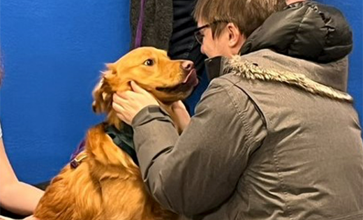 dog