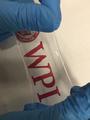 Clear membrane stretched over a WPI logo