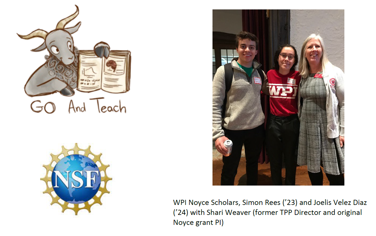 Noyce Scholars