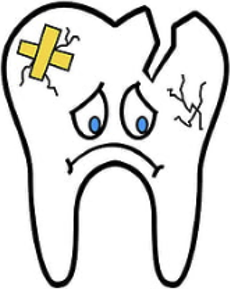 Tooth