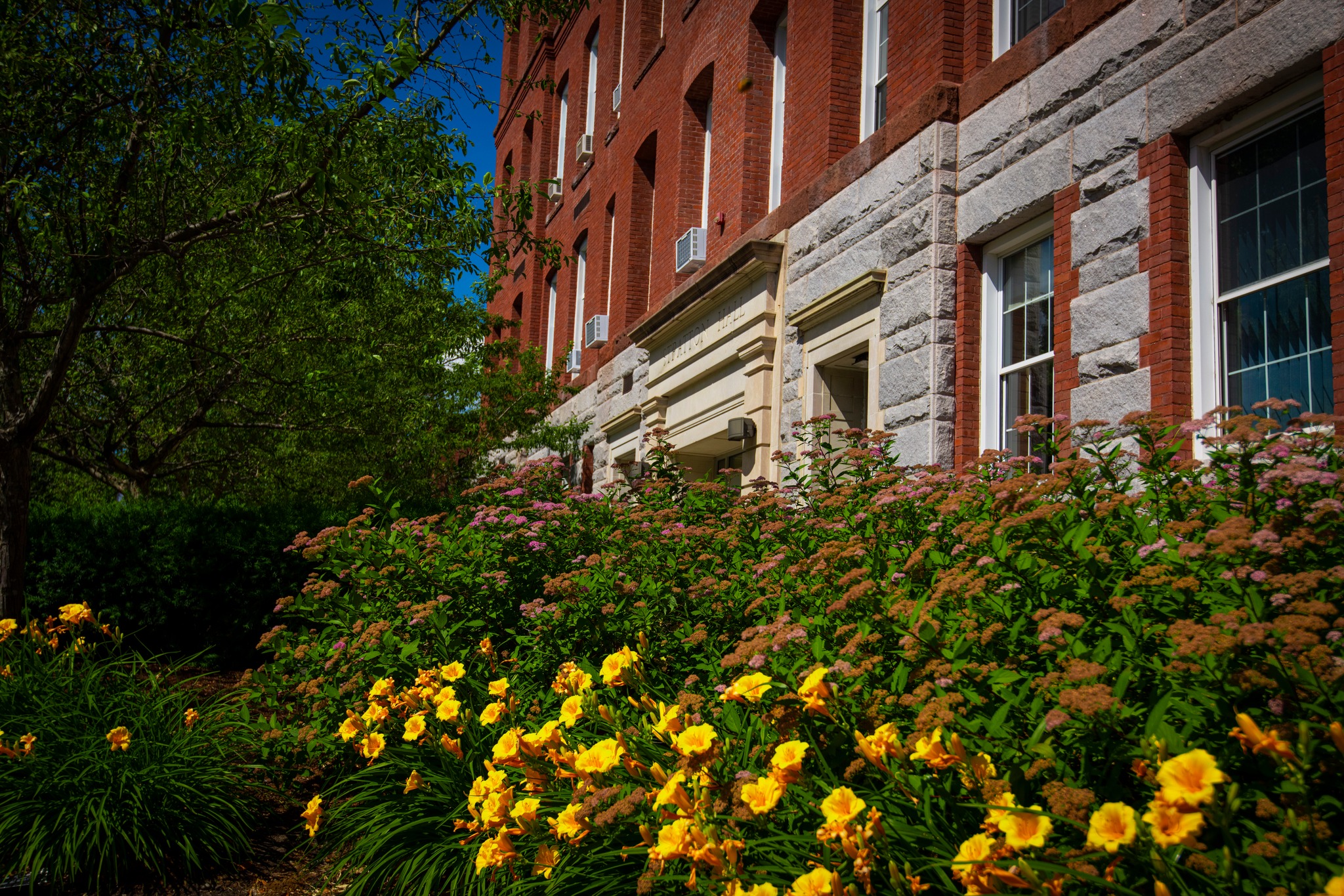 Stratton Hall with Flowers