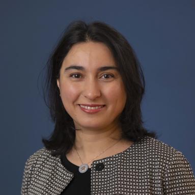 Ulkuhan Guler