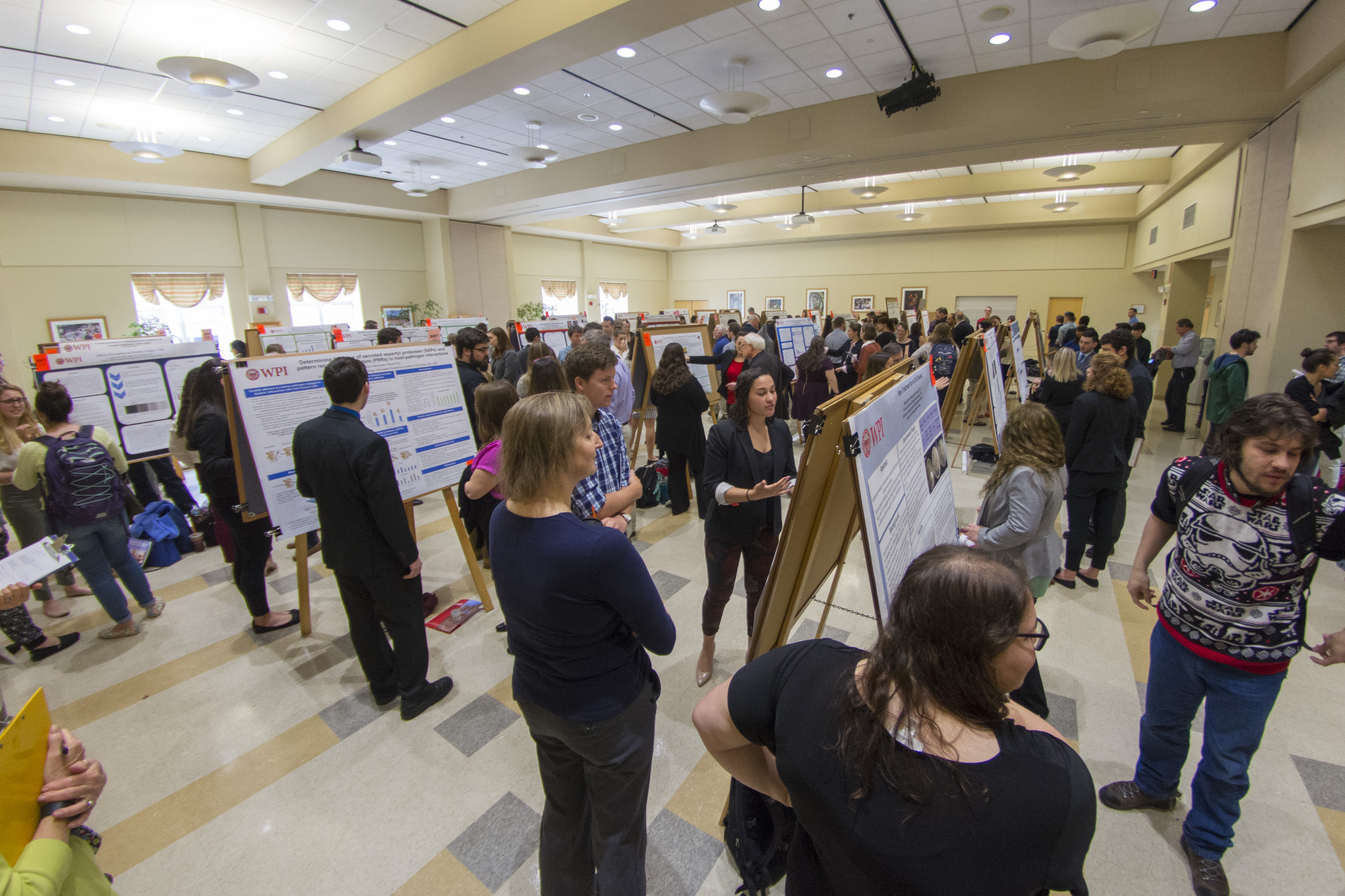 Undergraduate Research Projects Showcase