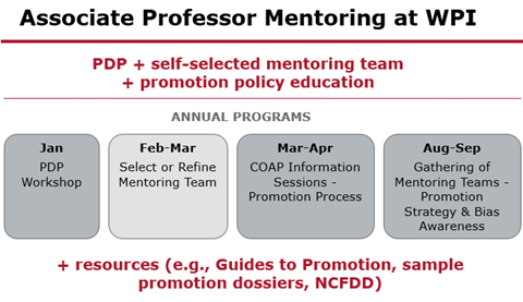 Diagram for Associate Professor Mentoring at WPI