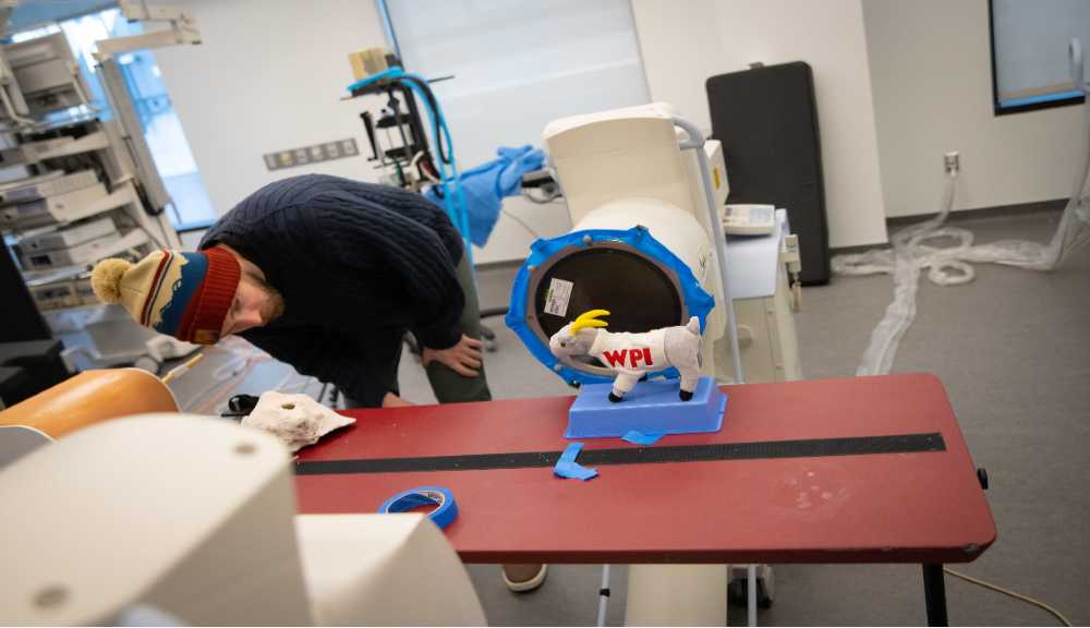 A student observes a stuffed Gompei at PracticePoint.