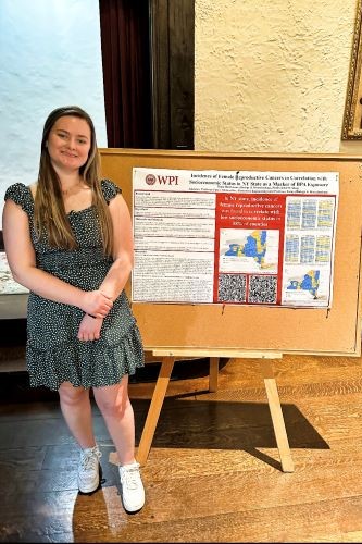 Undergraduate research project poster