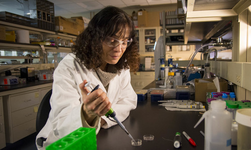 Bio-inspired Materials