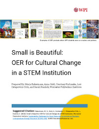 cover of white paper "Small is Beautiful"