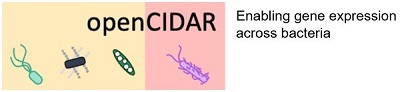 openCIDAR logo
