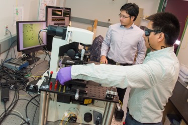 Graduate students Yao Shen, left, and Chaoyang Ti use the fiber optical tweezers to trap one of the cells seen on the computer screen to the left.