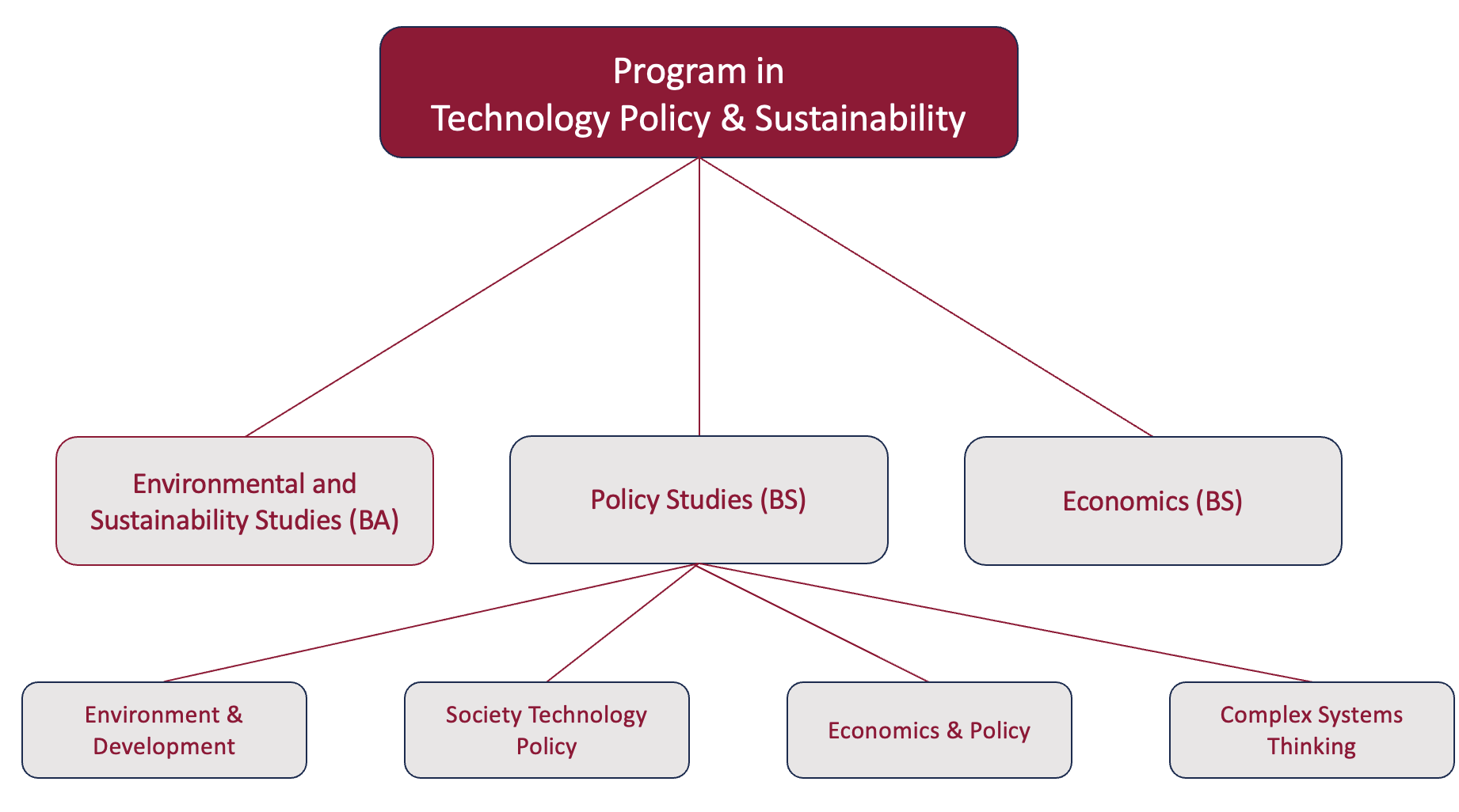 Diagram of the TPS degree offerings and concentrations