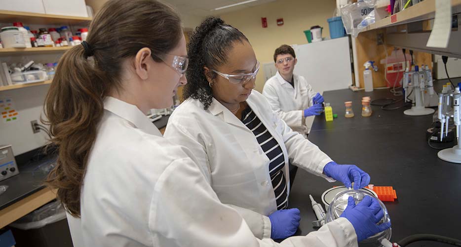 Students complete lab work together.