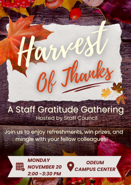 Harvest of Thanks: A Staff Gratitude Gathering