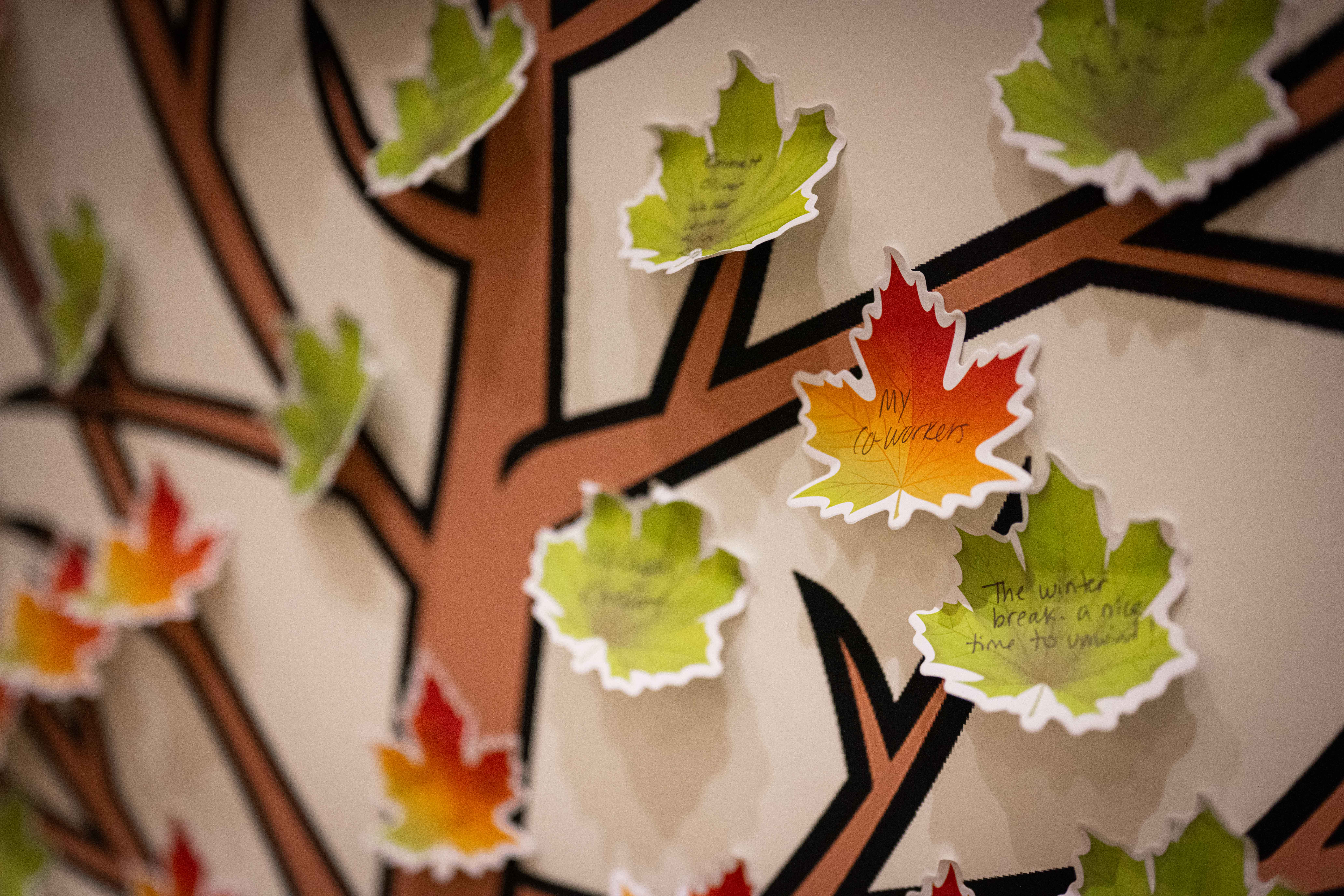 Harvest of Thanks: A Staff Gratitude Gathering