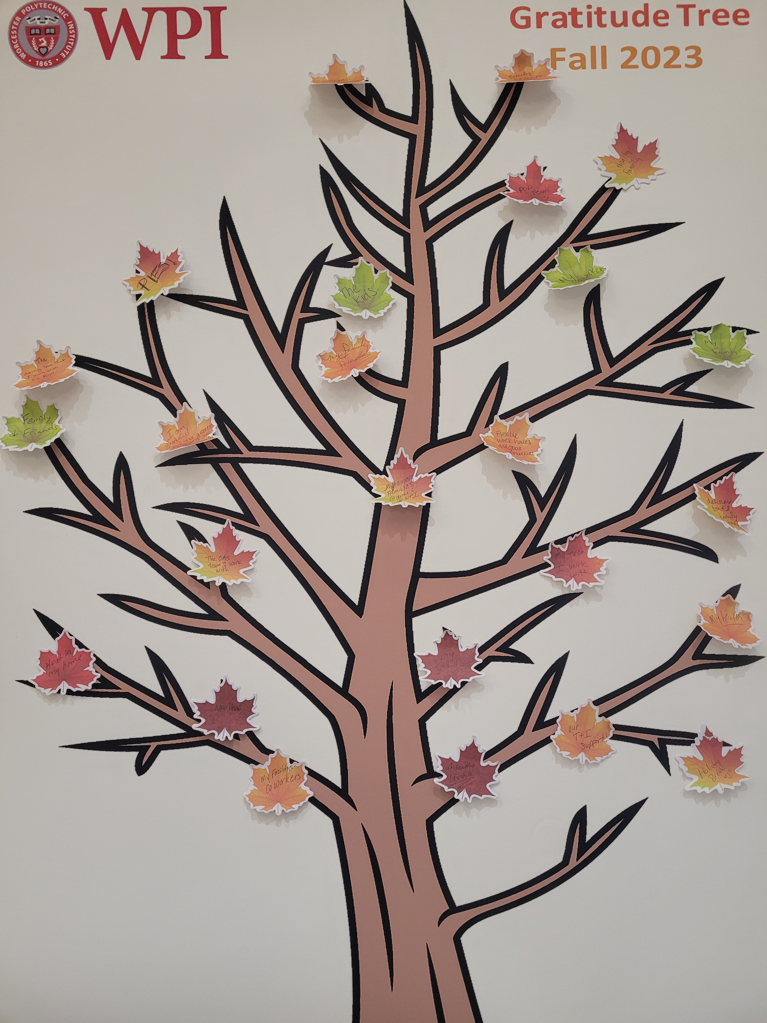 Harvest of Thanks: A Staff Gratitude Gathering