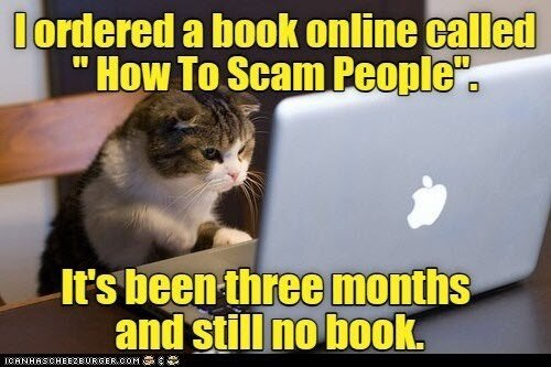 Meme with cat at computer and test: Ordered book online how to scam people; 3 months later still no book!