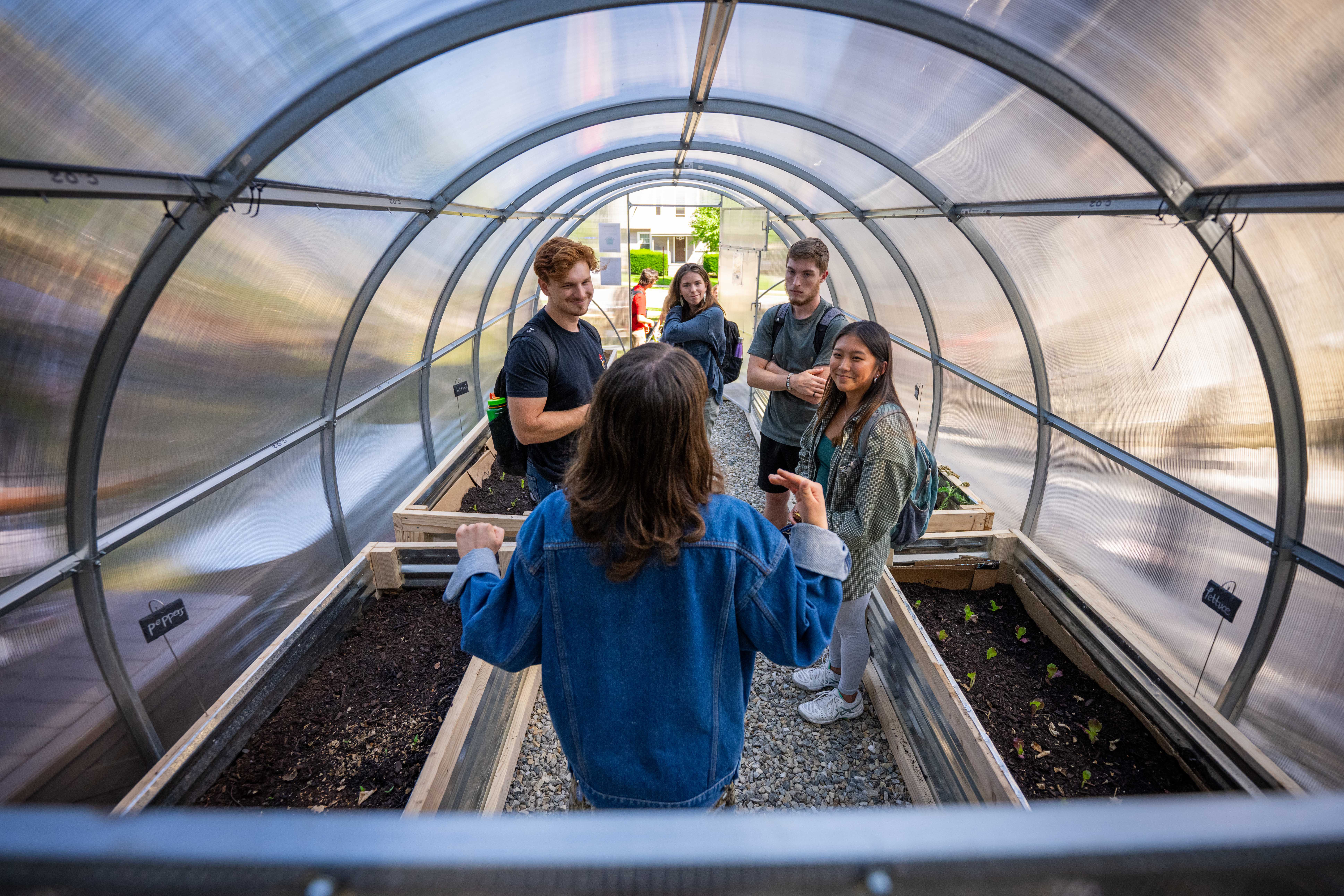 Green Team committee lead gives tour of new greenhouse