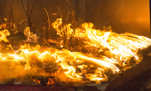 wildfire