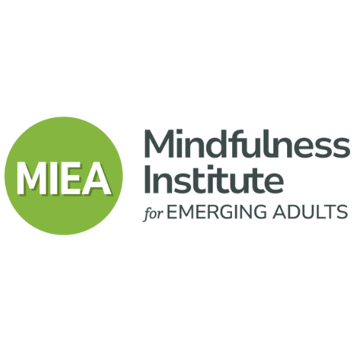 MEIA