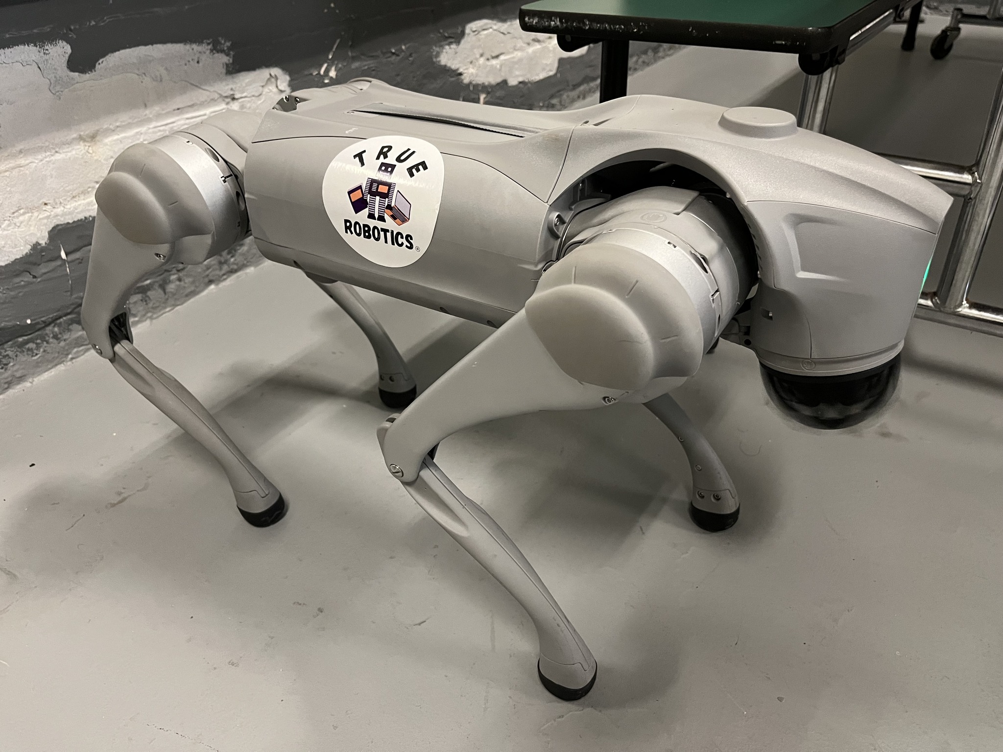 Dog Robot