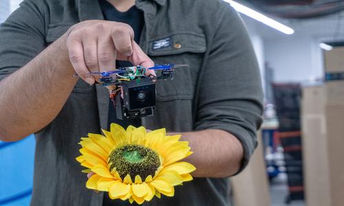 a man holding a small robotic bee with a fake sunflower