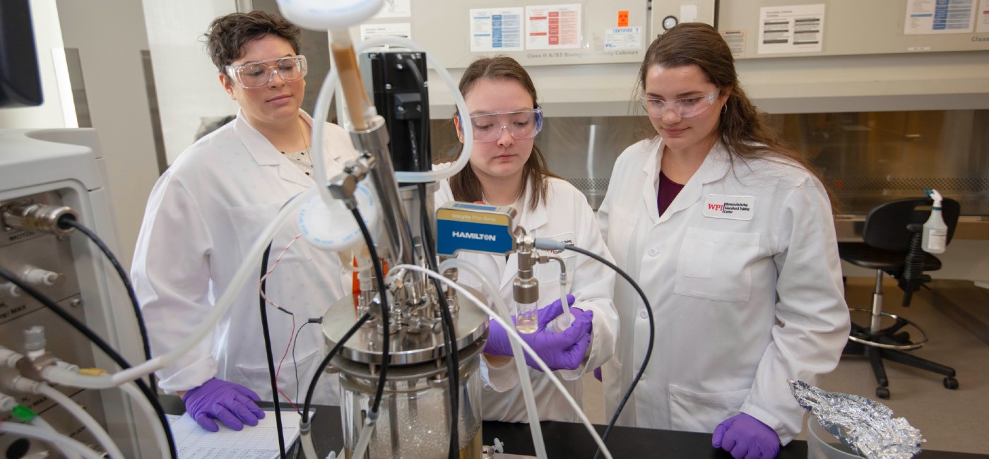 Students working in a lab.