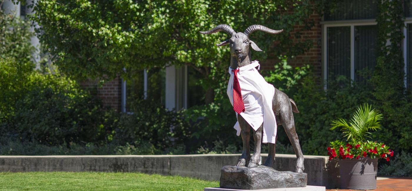 Gompei statue in a tie