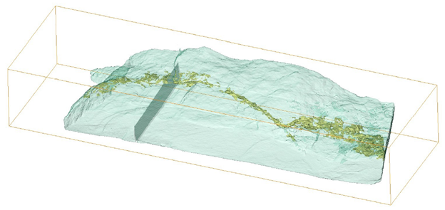 3D image reconstruction of a fossil using Neutron Tomography