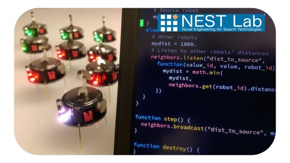 nest
