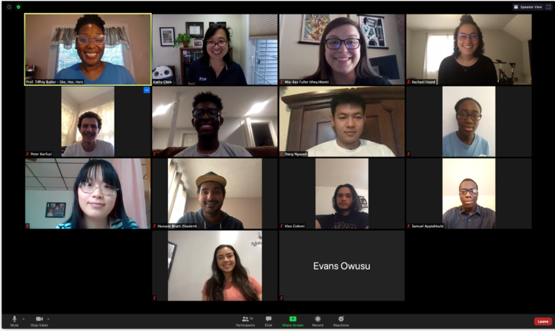 Zoom meeting screenshot
