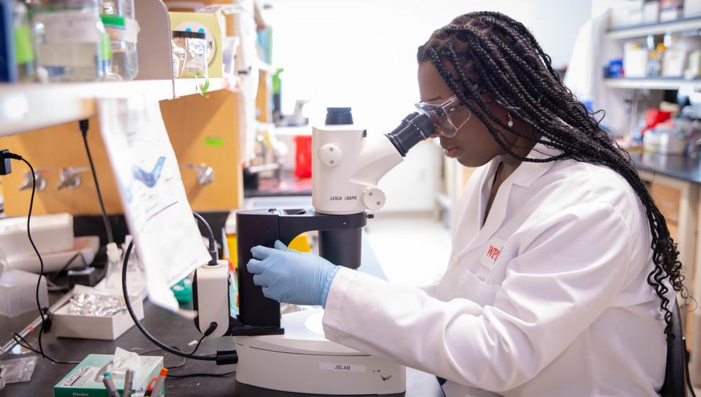 Student Zhyan Noble peers into a microscope in a biomedical research lab.