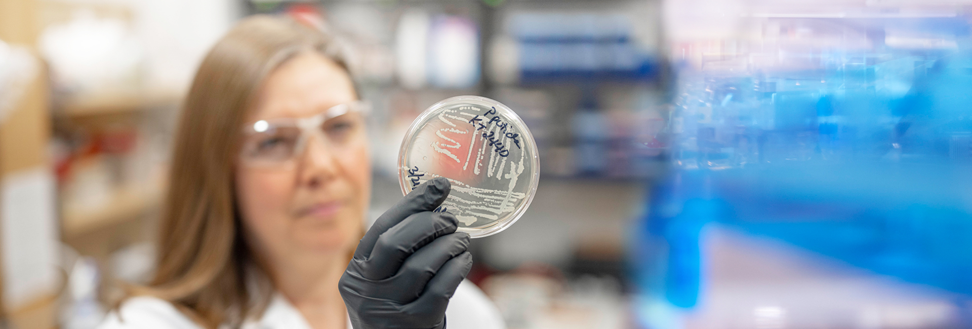 Natalie Farny in her lab looking at specimen