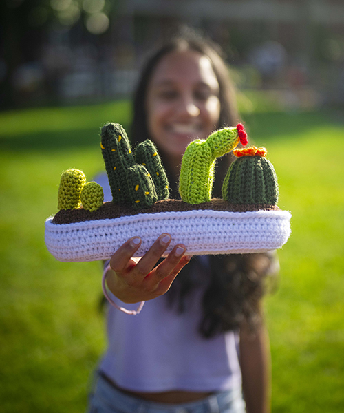Crocheted cacti from the Crochet club