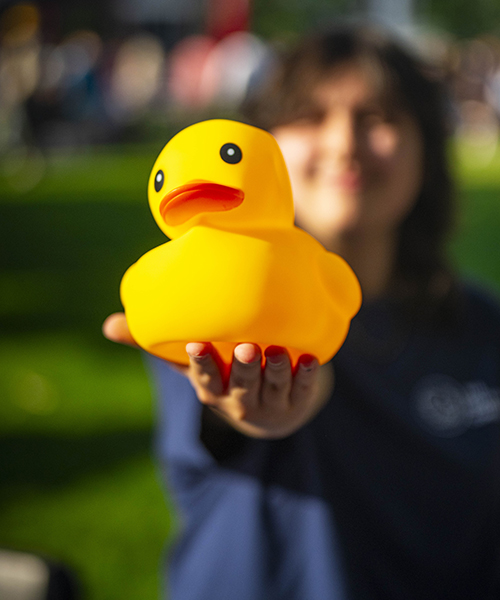 Rubber duck that gets hidden during Quadfest