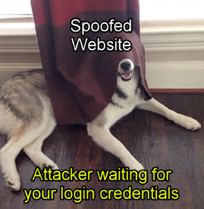 A large, gray and white dog is laying down on a dark wood floor. There’s a dark red curtain covering half of it. The curtain is labeled "Spoofed Website" and the dog is labeled, "Attacker waiting for your login credentials."