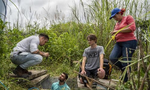 A team of WPI students stand in a field while one student stands in a ground water well