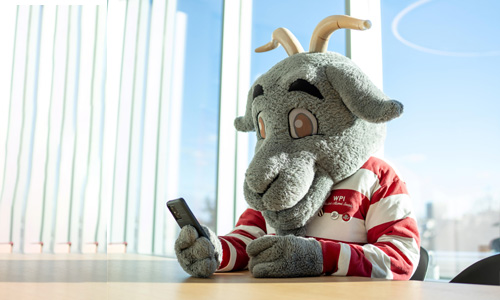 Gompei the WPI Mascot reading the student guide