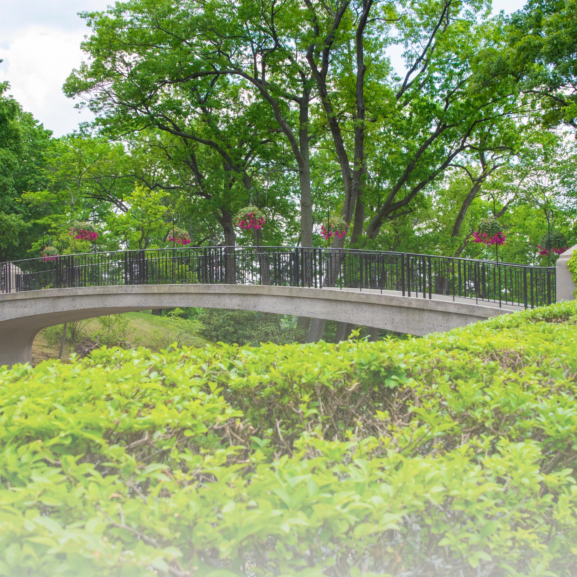 wpi bridge