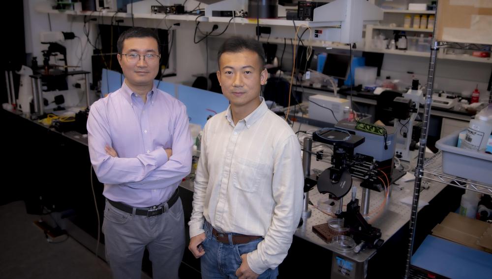 Yihao Zheng, right, and Yuxiang Liu pose in a lab where they are developing a probe for blood clots.
