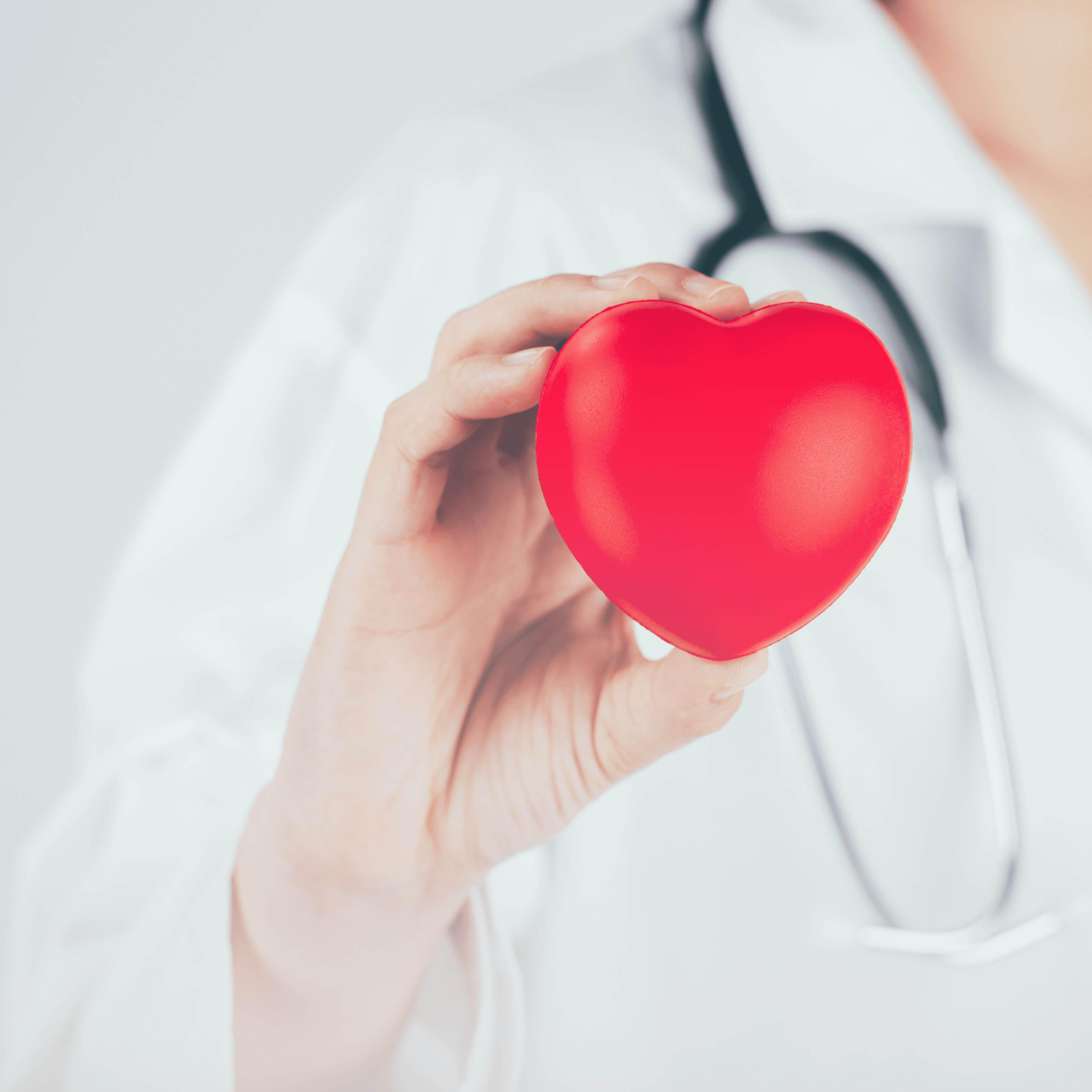 doctor holding heart toy