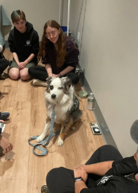 Students and dog
