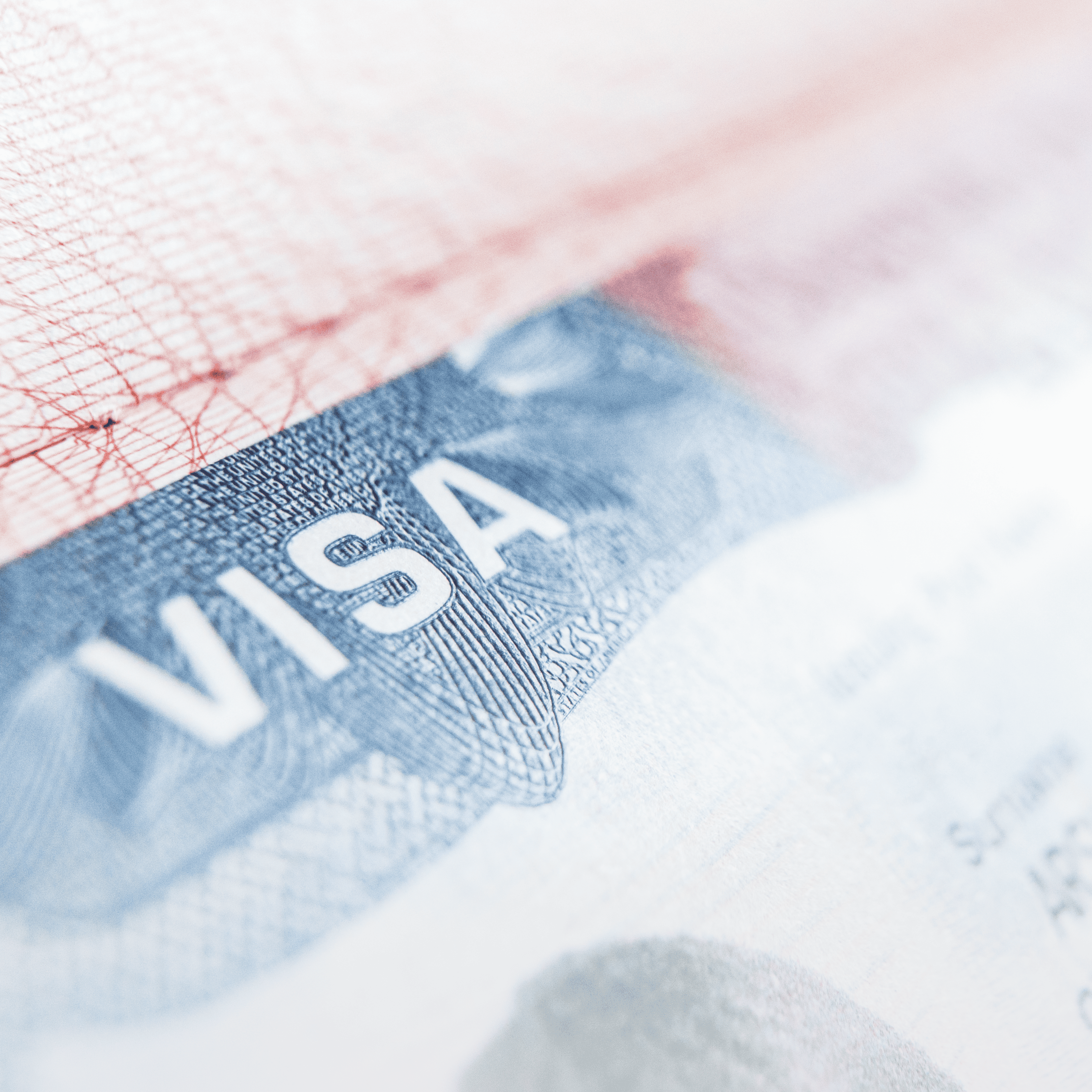picture of a visa