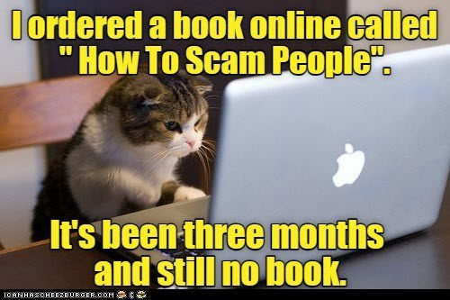 Cat staring at a laptop. Text says, "I ordered a book online called, ’How to Scam People’. It’s been three months and still no book."