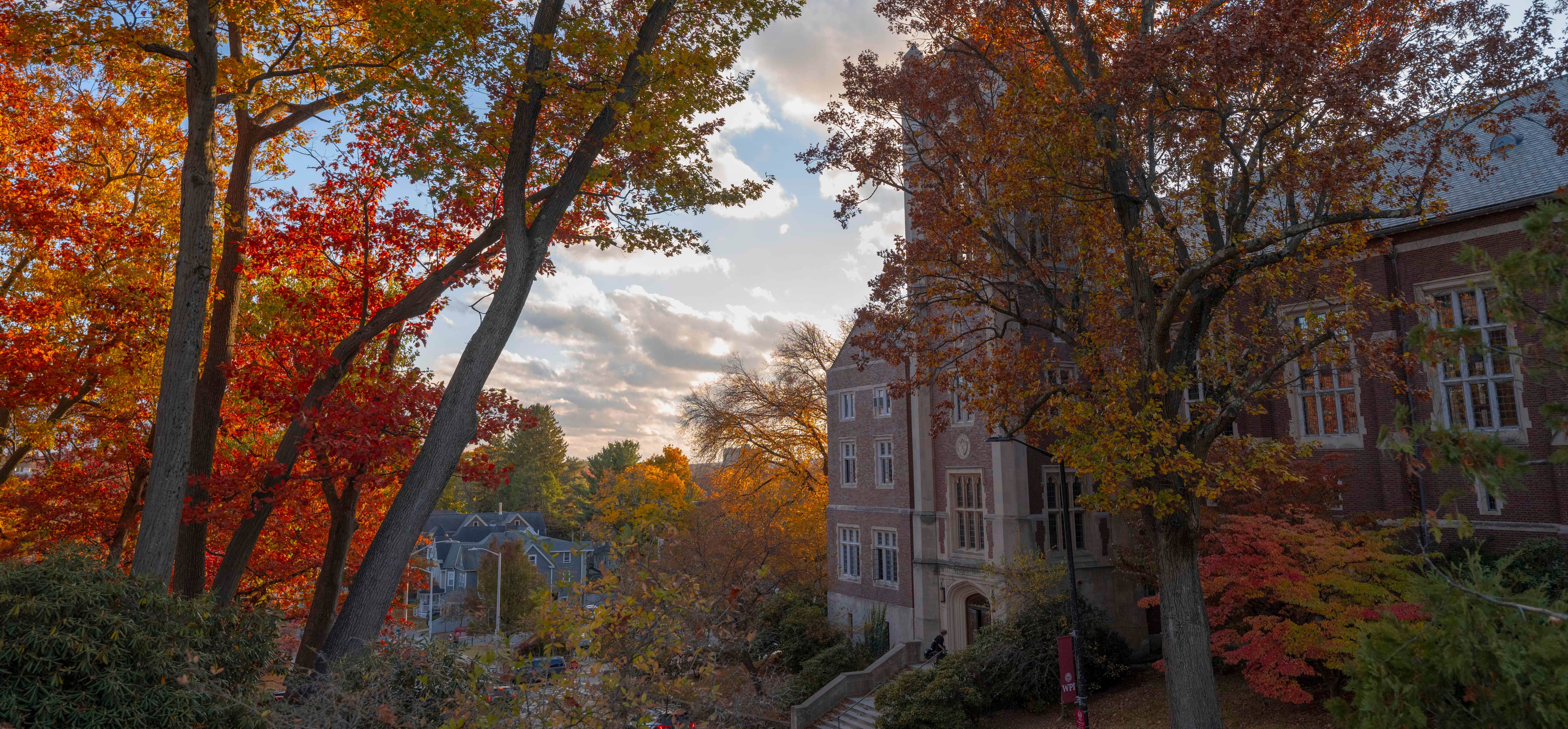 DEIB Fall Time Image