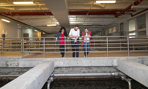 WASTEWATER FACILITIES PROJECT