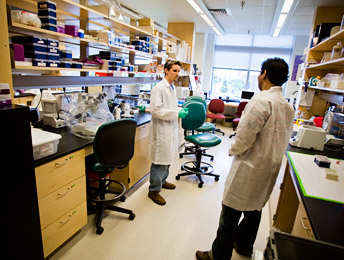 LSBC lab shot