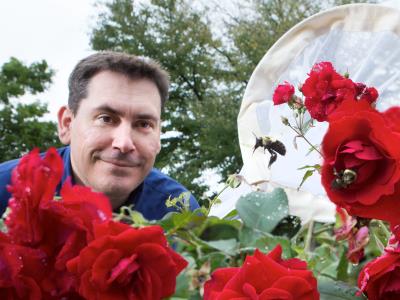 Robert J. Gegear with bees